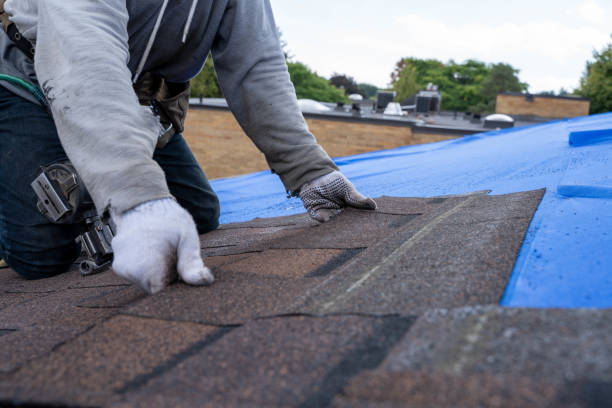 Best Roof Leak Repair  in Hideo, UT